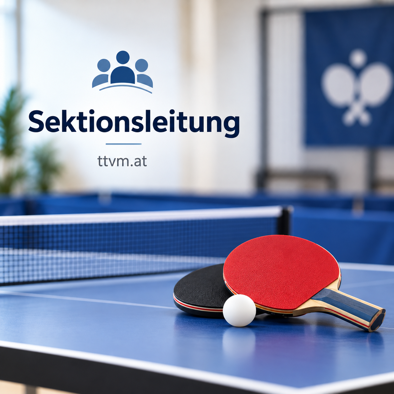 sektionsleitung